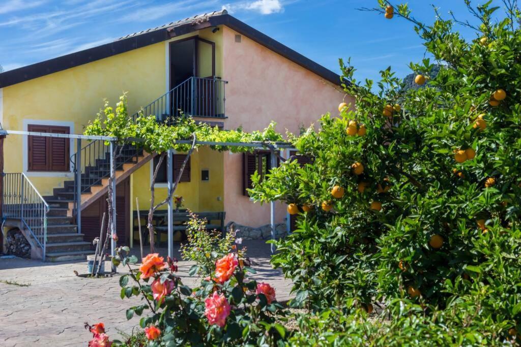 A Charming Country Cottage + Bikes And Kayaks Bosa Kültér fotó
