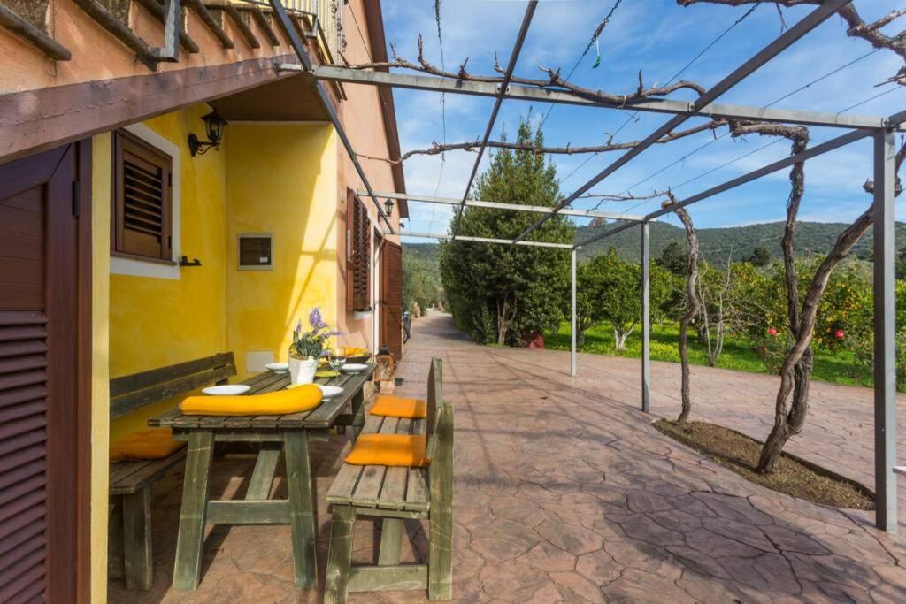 A Charming Country Cottage + Bikes And Kayaks Bosa Kültér fotó